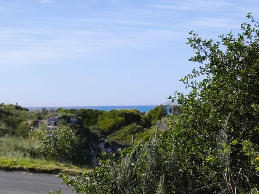 0 Bedroom Property for Sale in Paradise Beach Eastern Cape